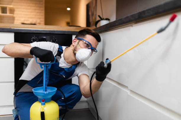 Best Best Pest Control Companies  in Drexel, NC