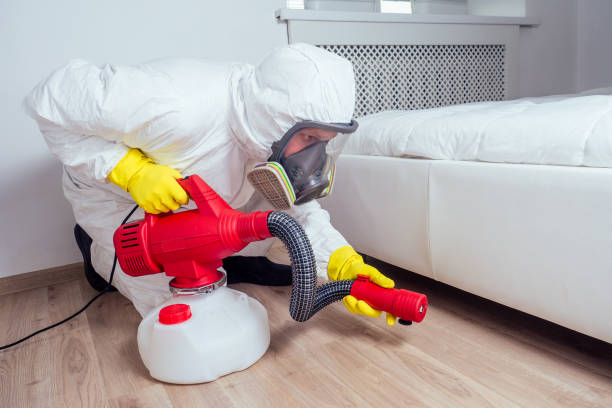 Best Termite Control Services  in Drexel, NC