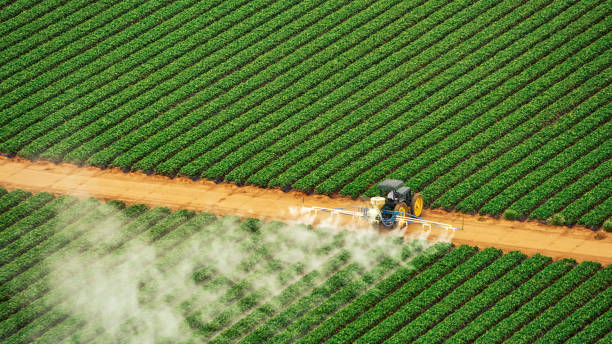 Best Pest Control for Businesses  in Drexel, NC