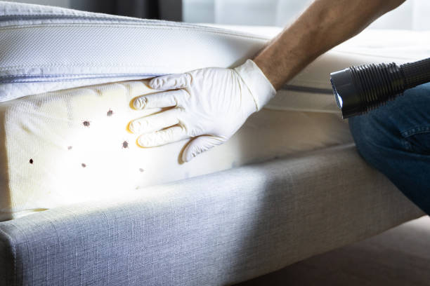 Pest Control Cost in Drexel, NC