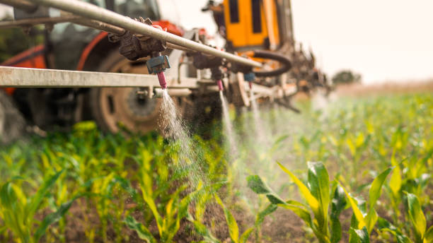 Best Commercial Pest Control Services  in Drexel, NC